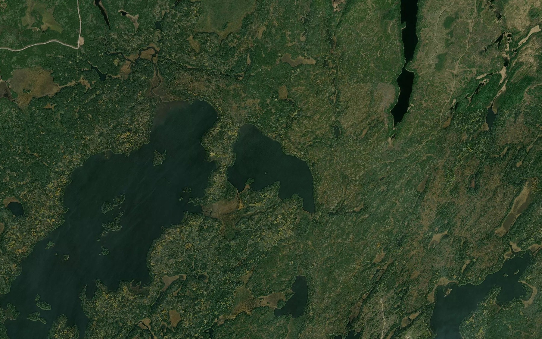 Satellite map of the Tompkins Lake