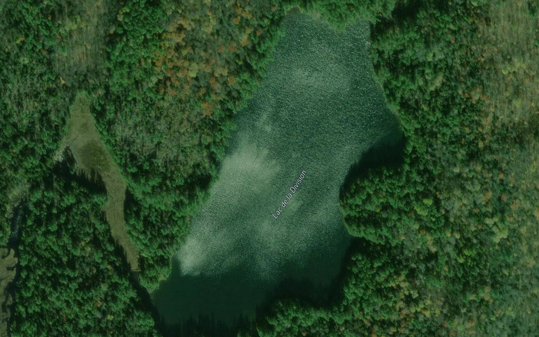 Satellite map of the Lac de la Division