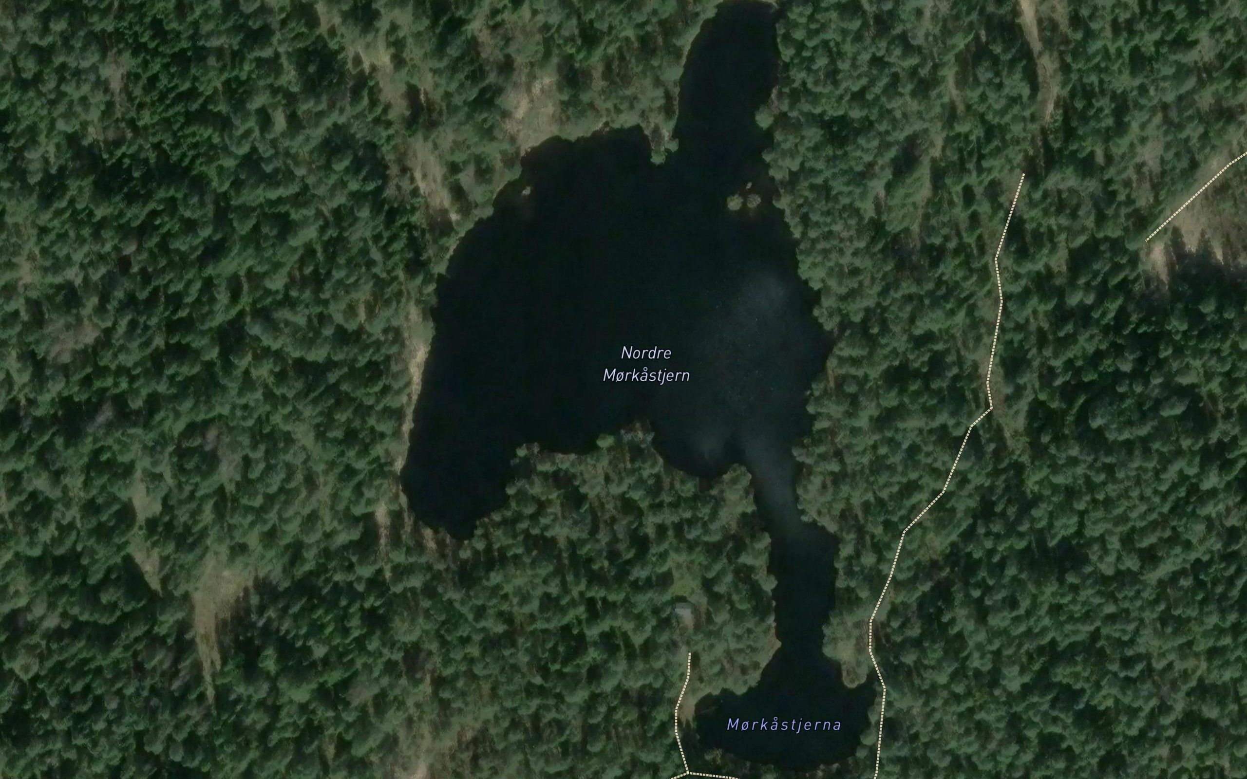Morkastjerna