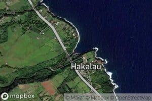 Hakalau Stream