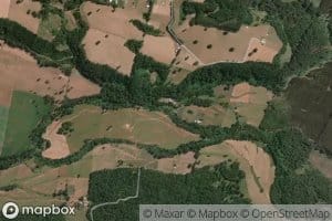 Estero Curaco