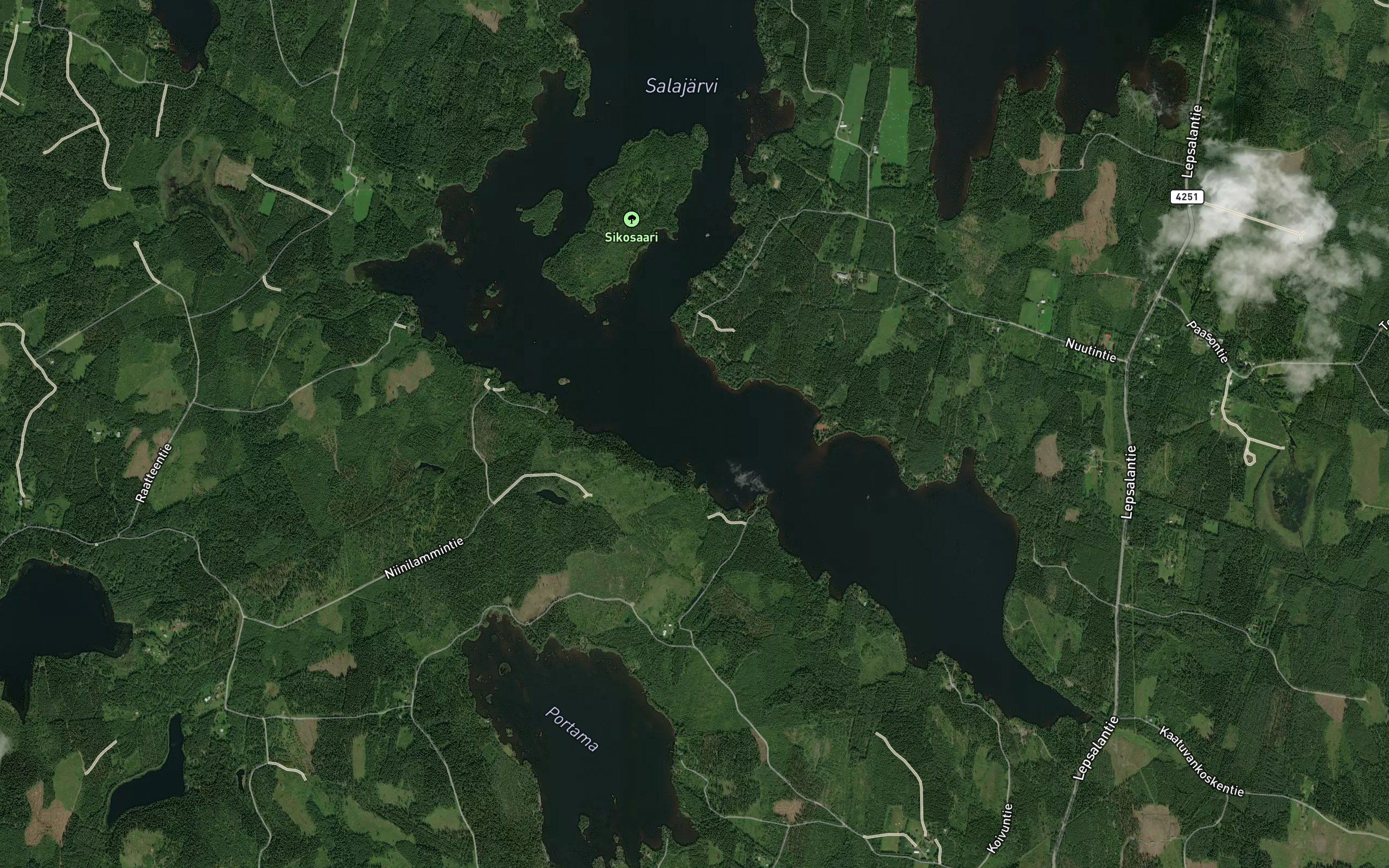 Tervaselka
