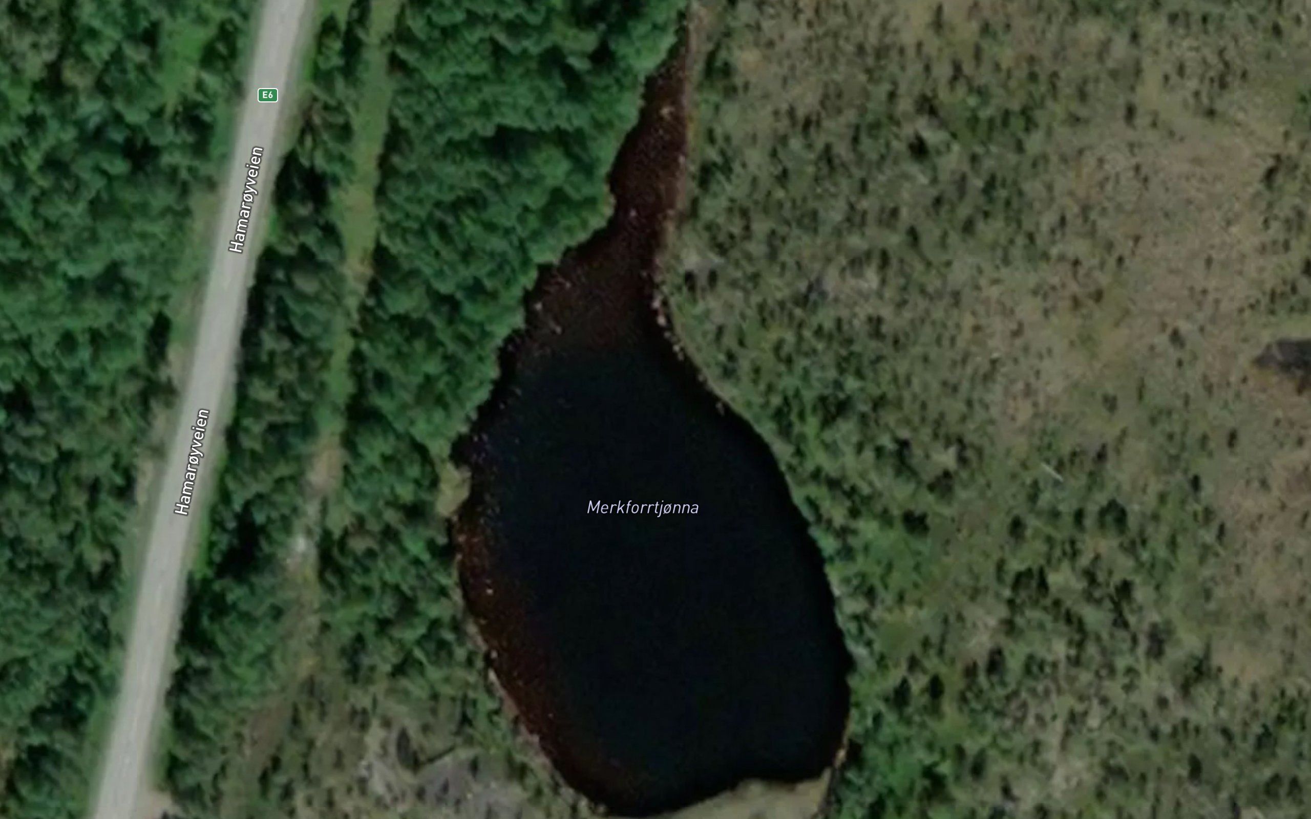 Merkforrtjonna