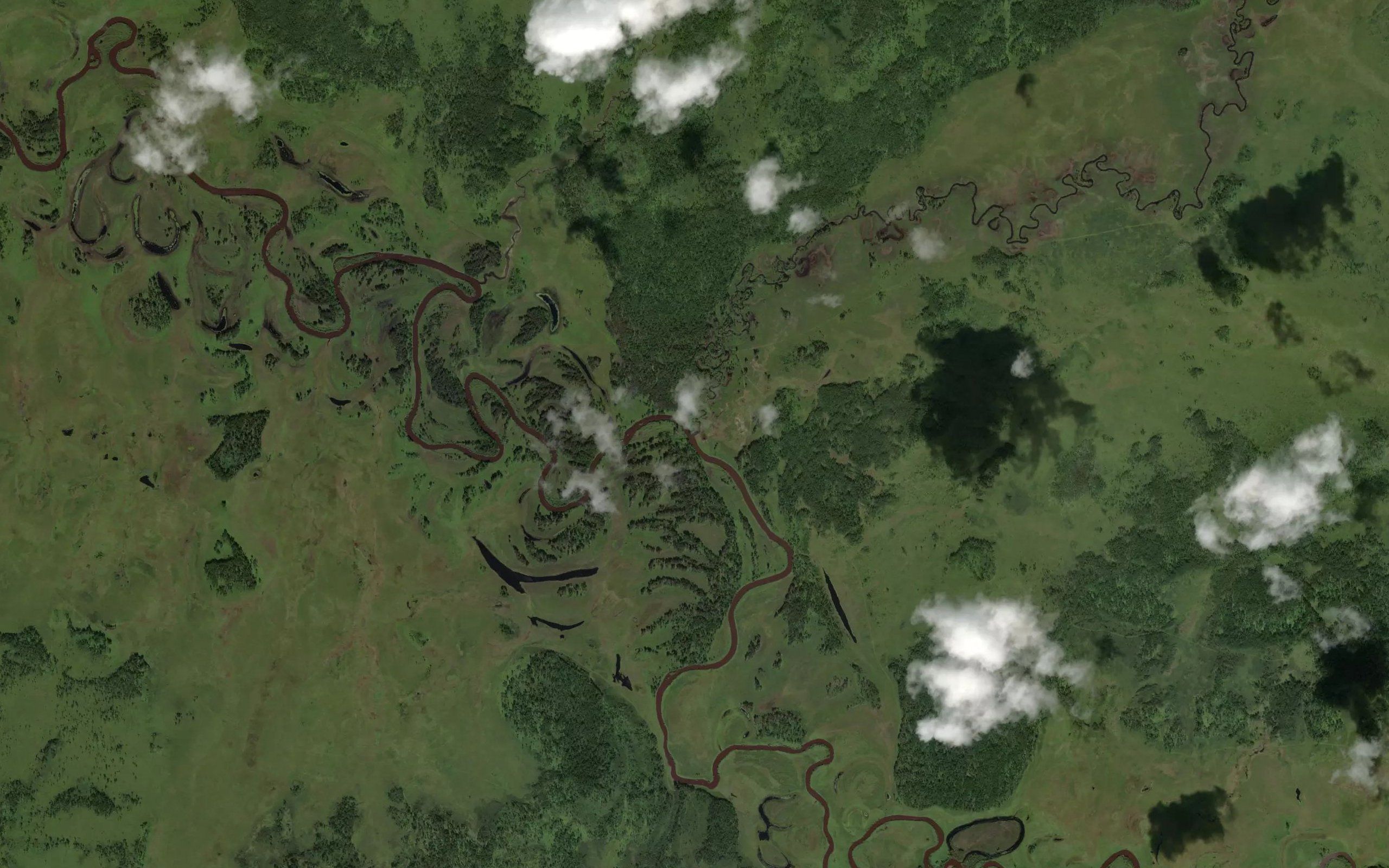 Adrikon
