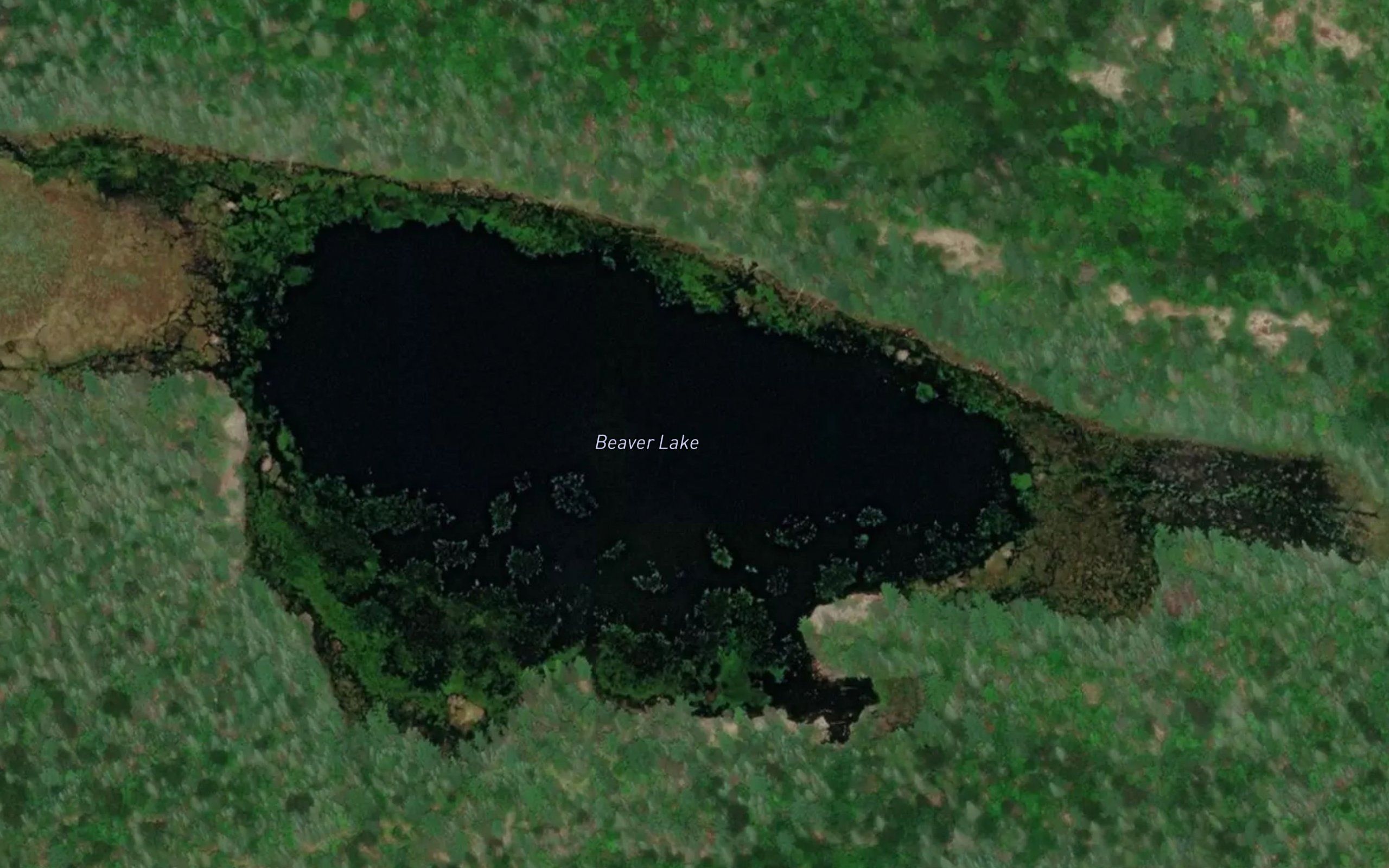 Beaver Lake