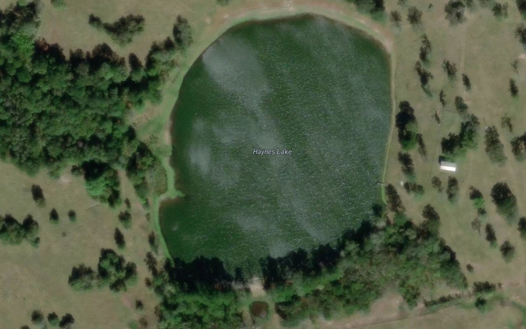 Satellite map of the Haynes Lake