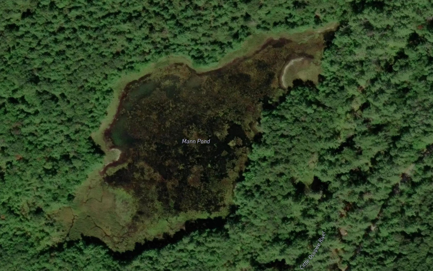 Satellite map of the Mann Pond