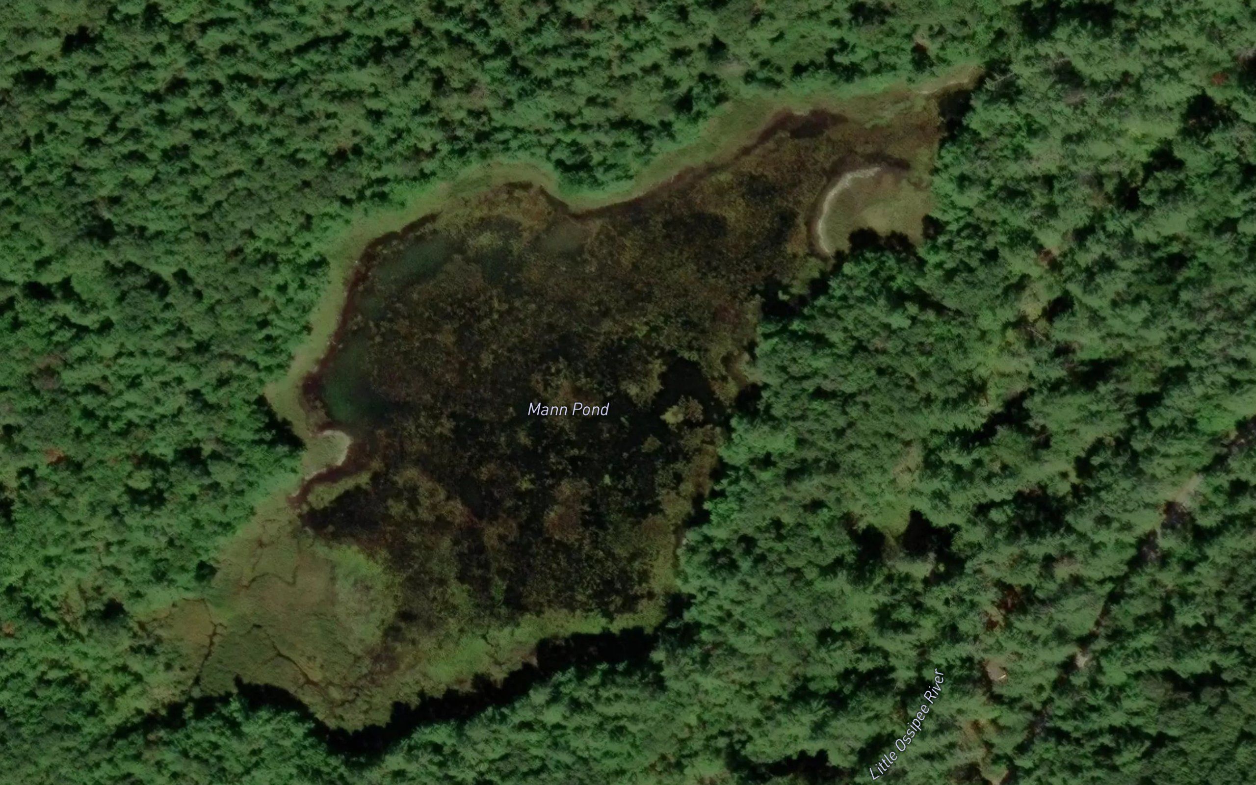 Mann Pond