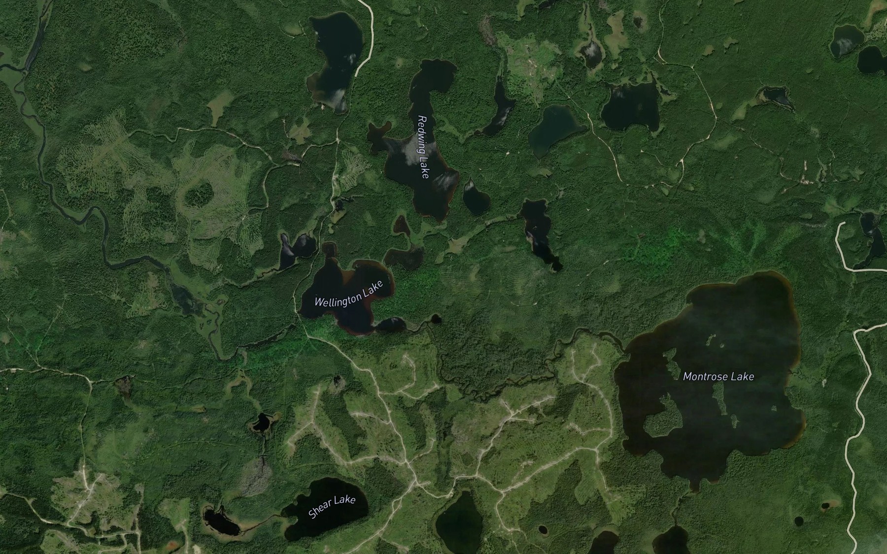 Satellite map of the Redwing Creek