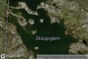 Skaupsjoen