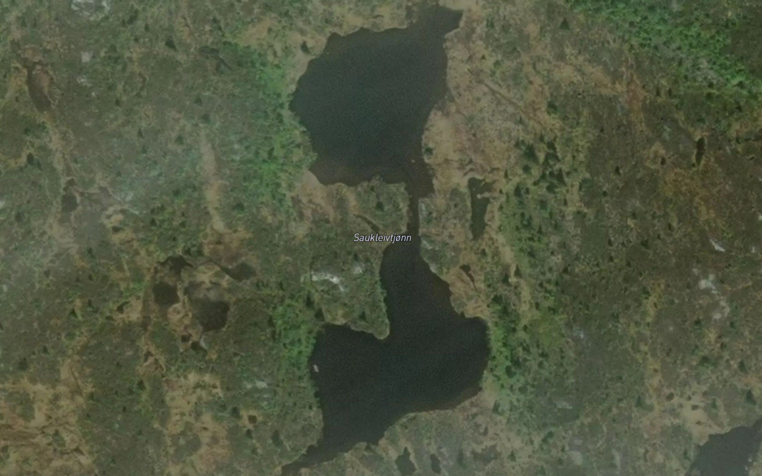 Saukleivtjonn