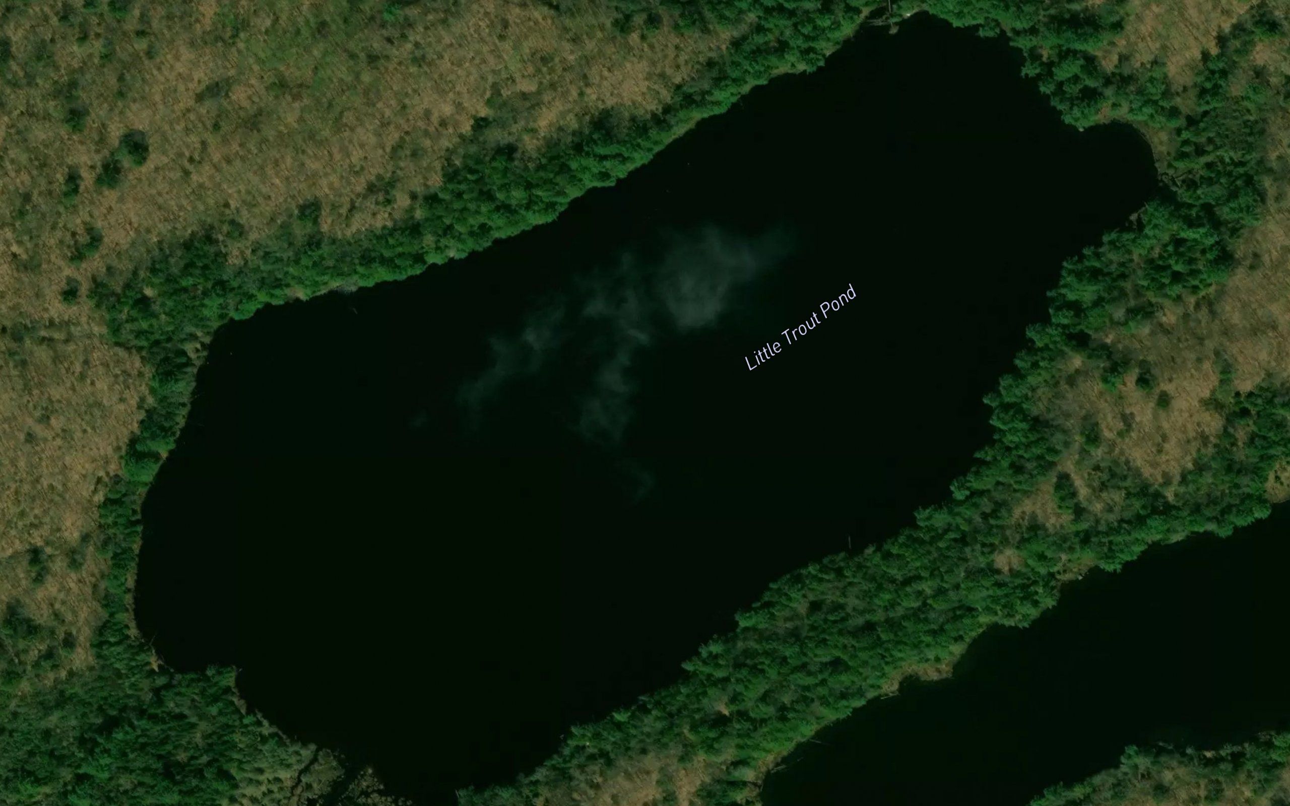 Little Trout Pond