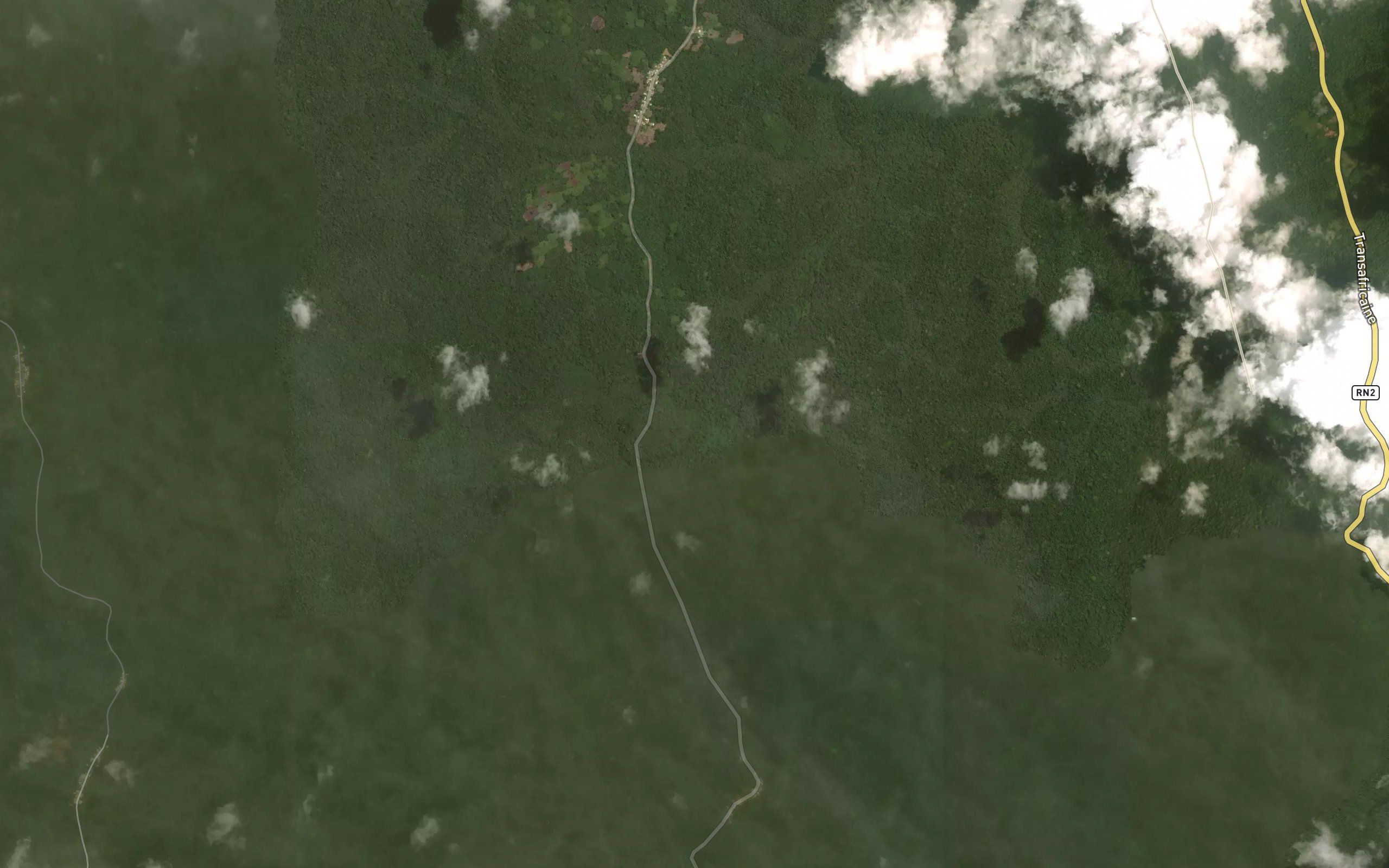 Ngoum
