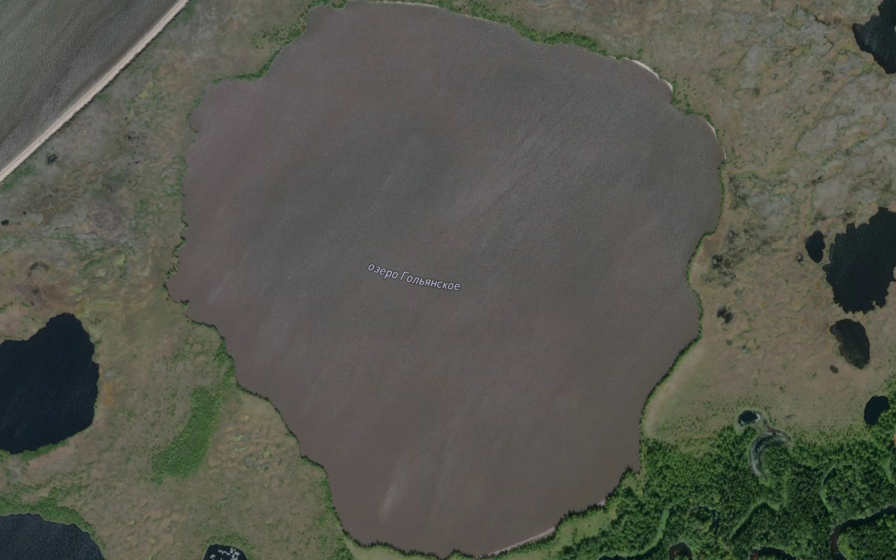Satellite map of the Ozero Gol'yanskoye