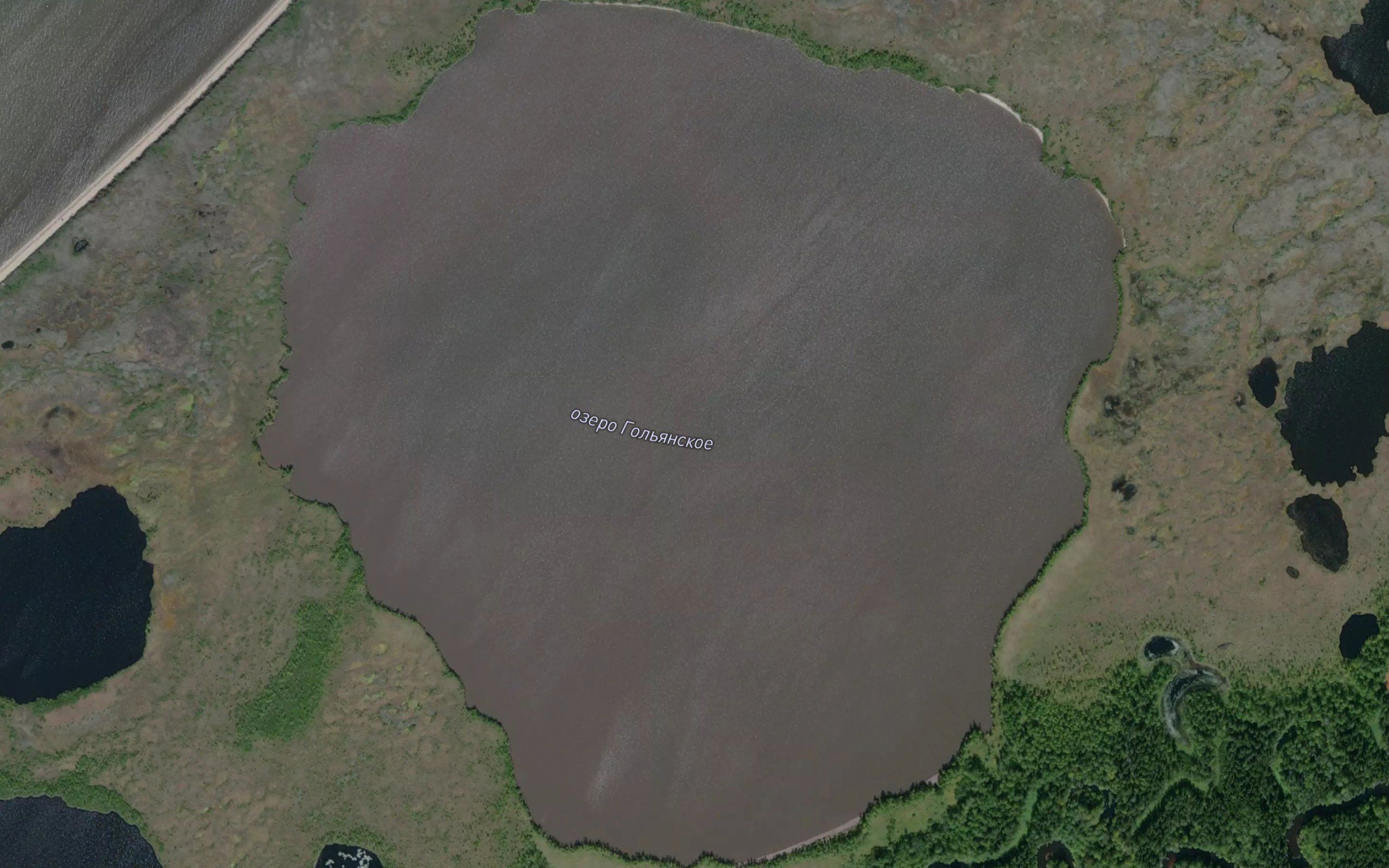 Ozero Gol'yanskoye