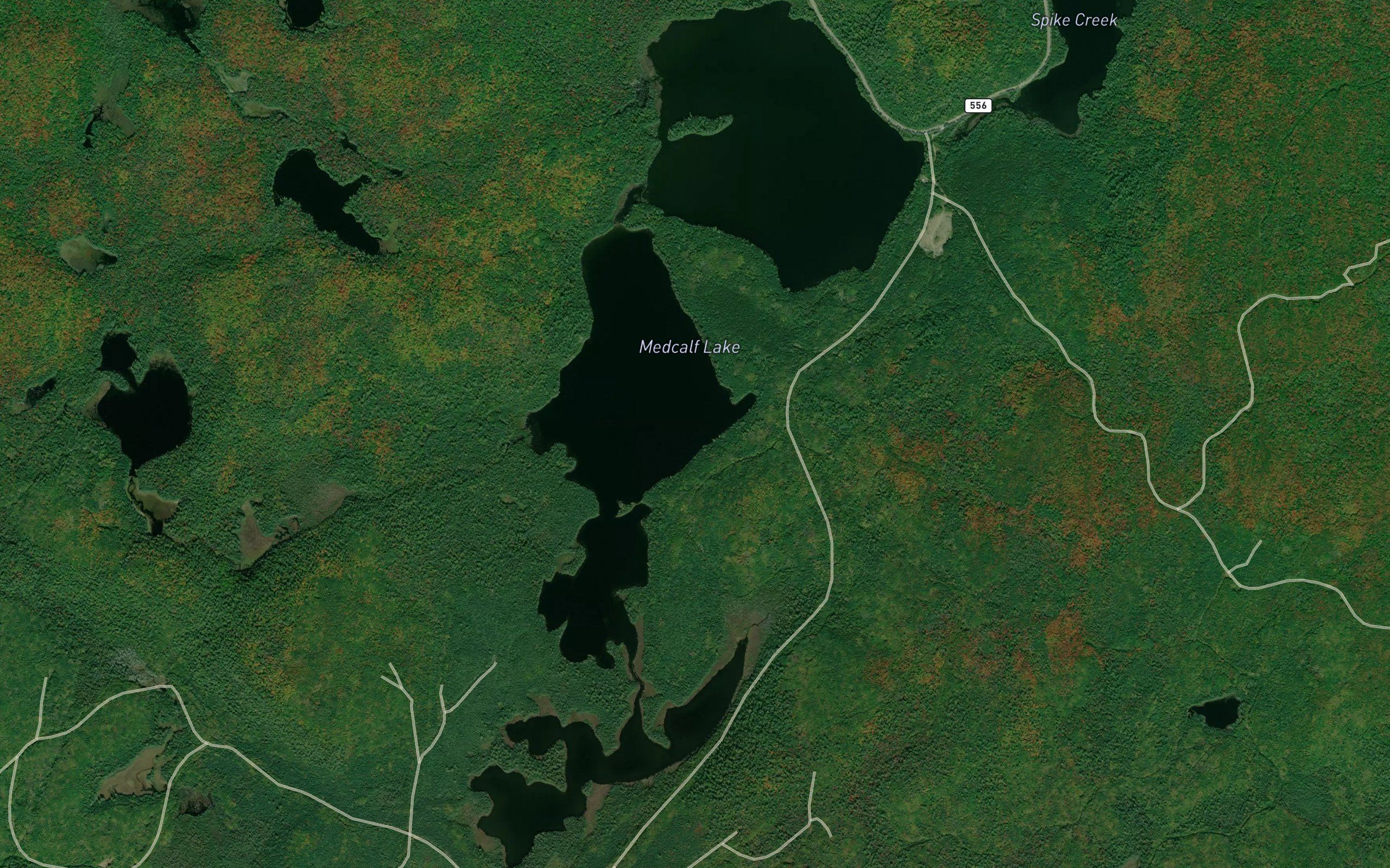 Medcalf Lake