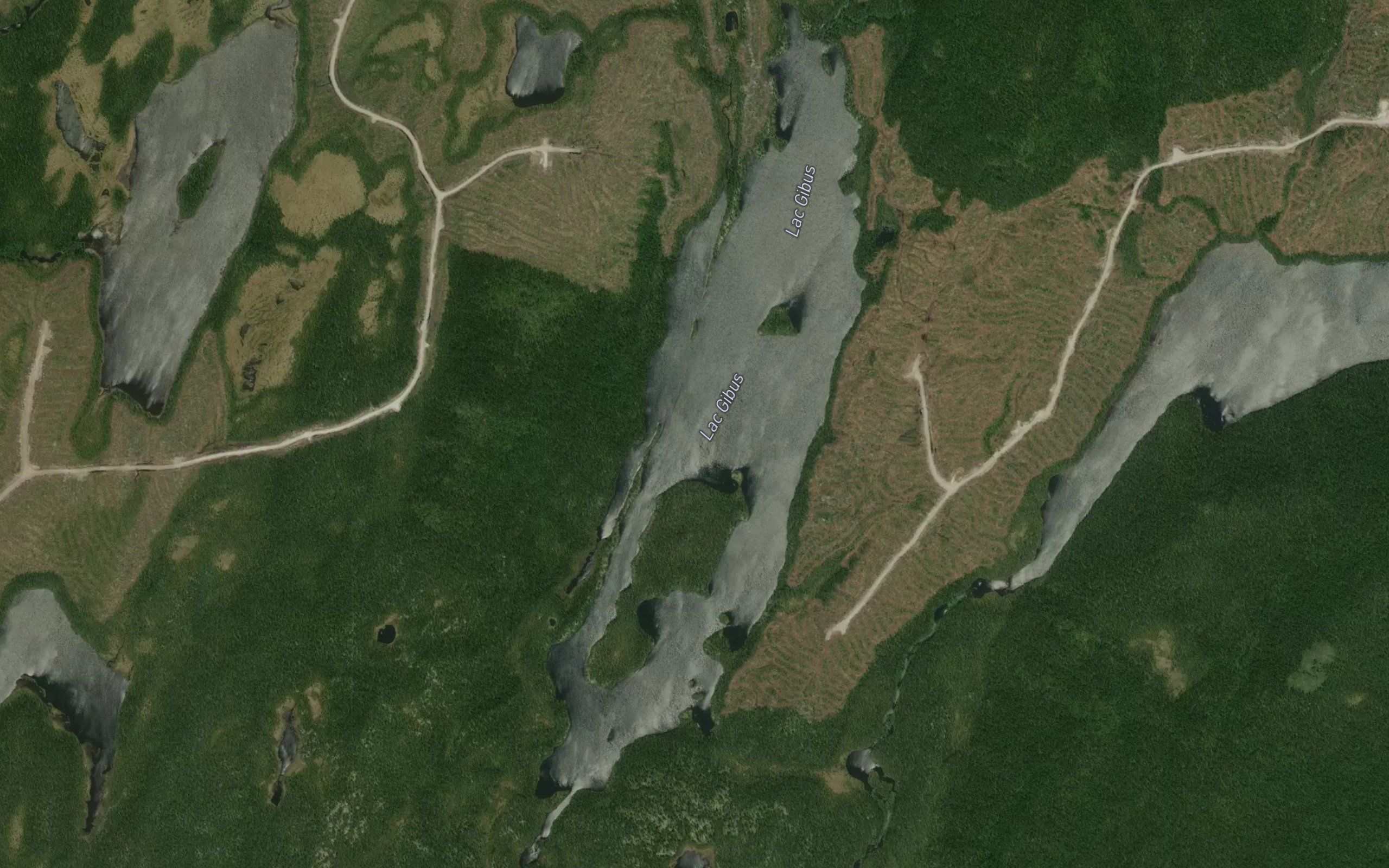Lac Gibus