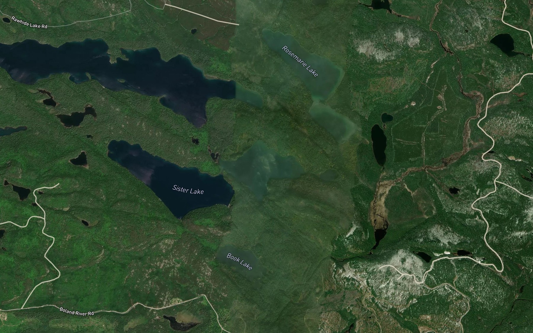 Satellite map of the Little Sister Lake