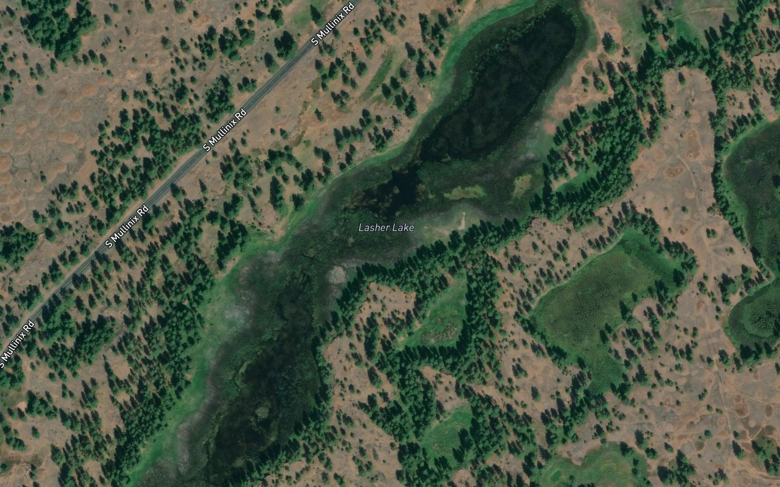 Lasher Lake