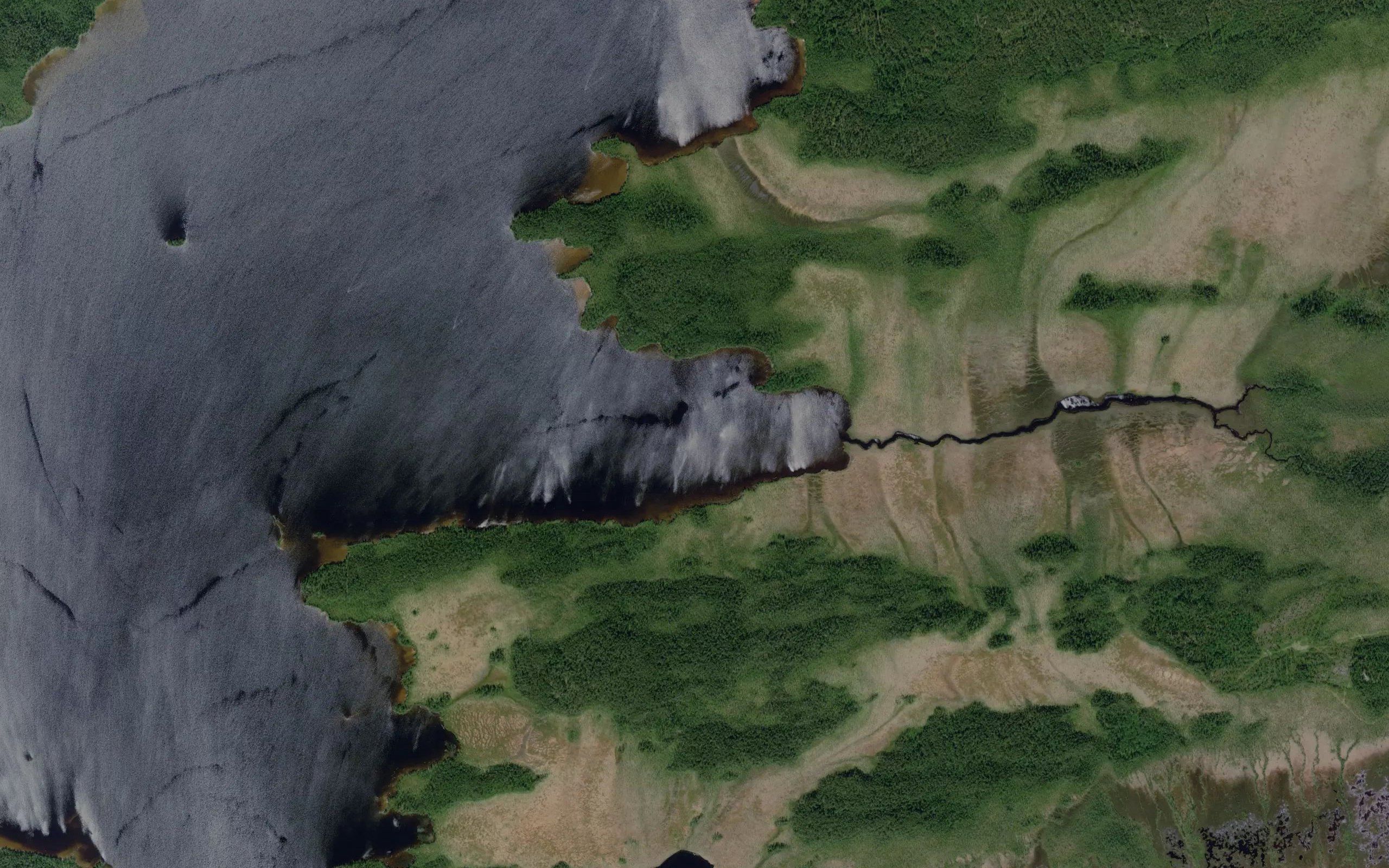 Guba Sosnovaya