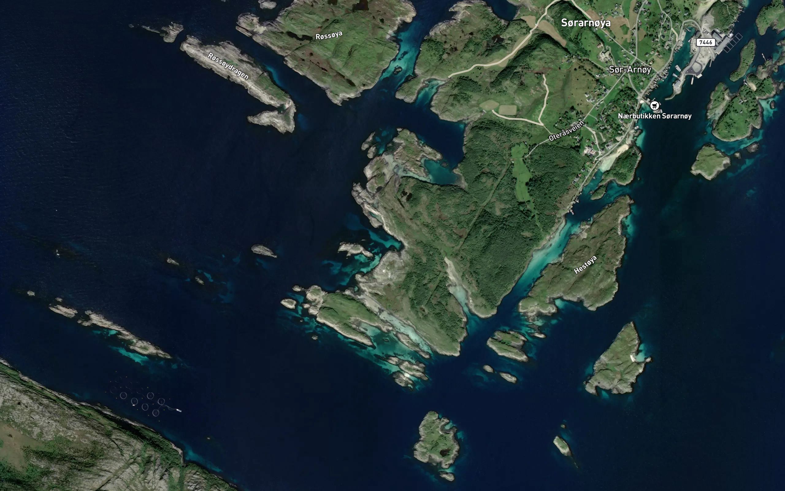 Svartvika