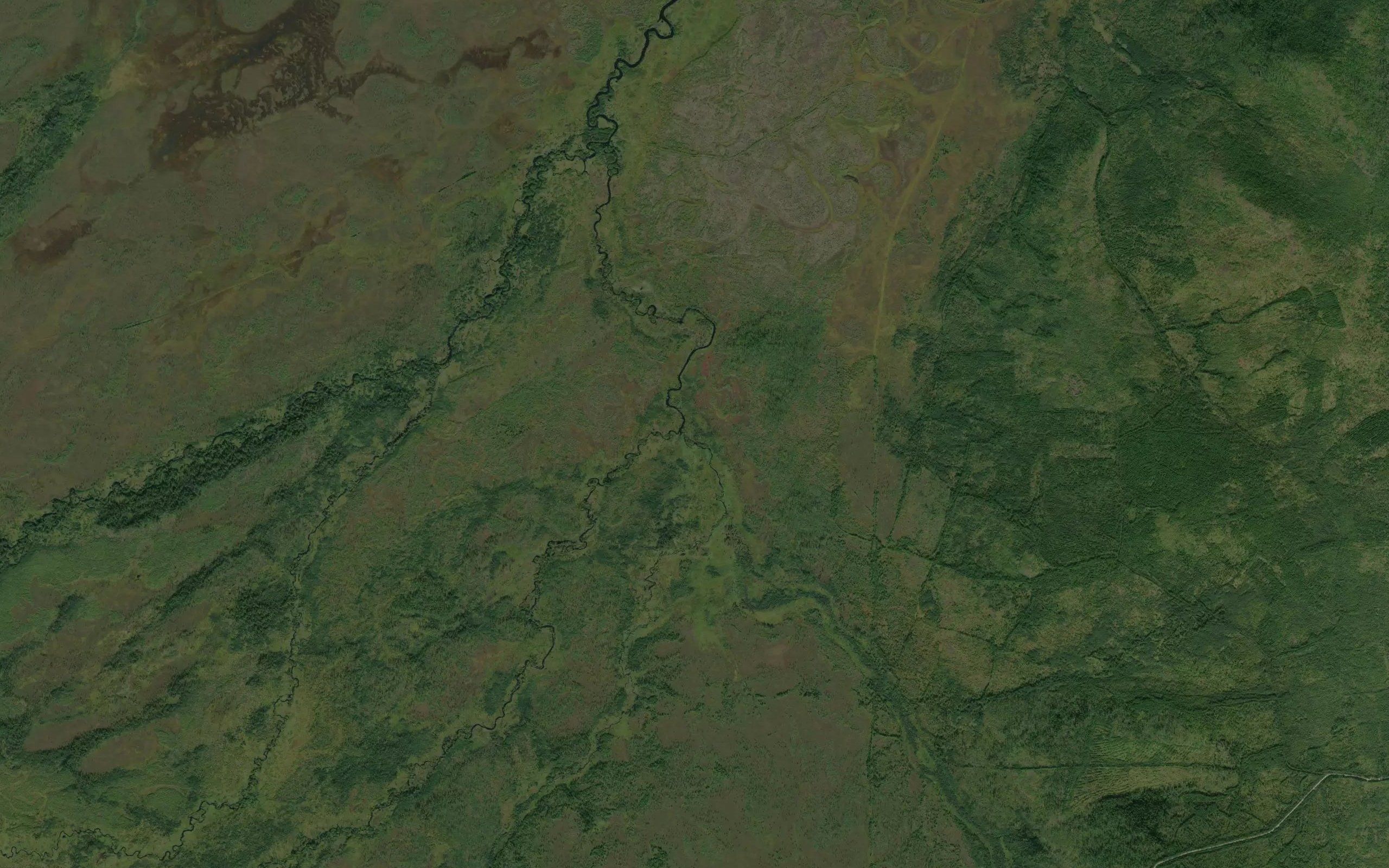 Boryndzha