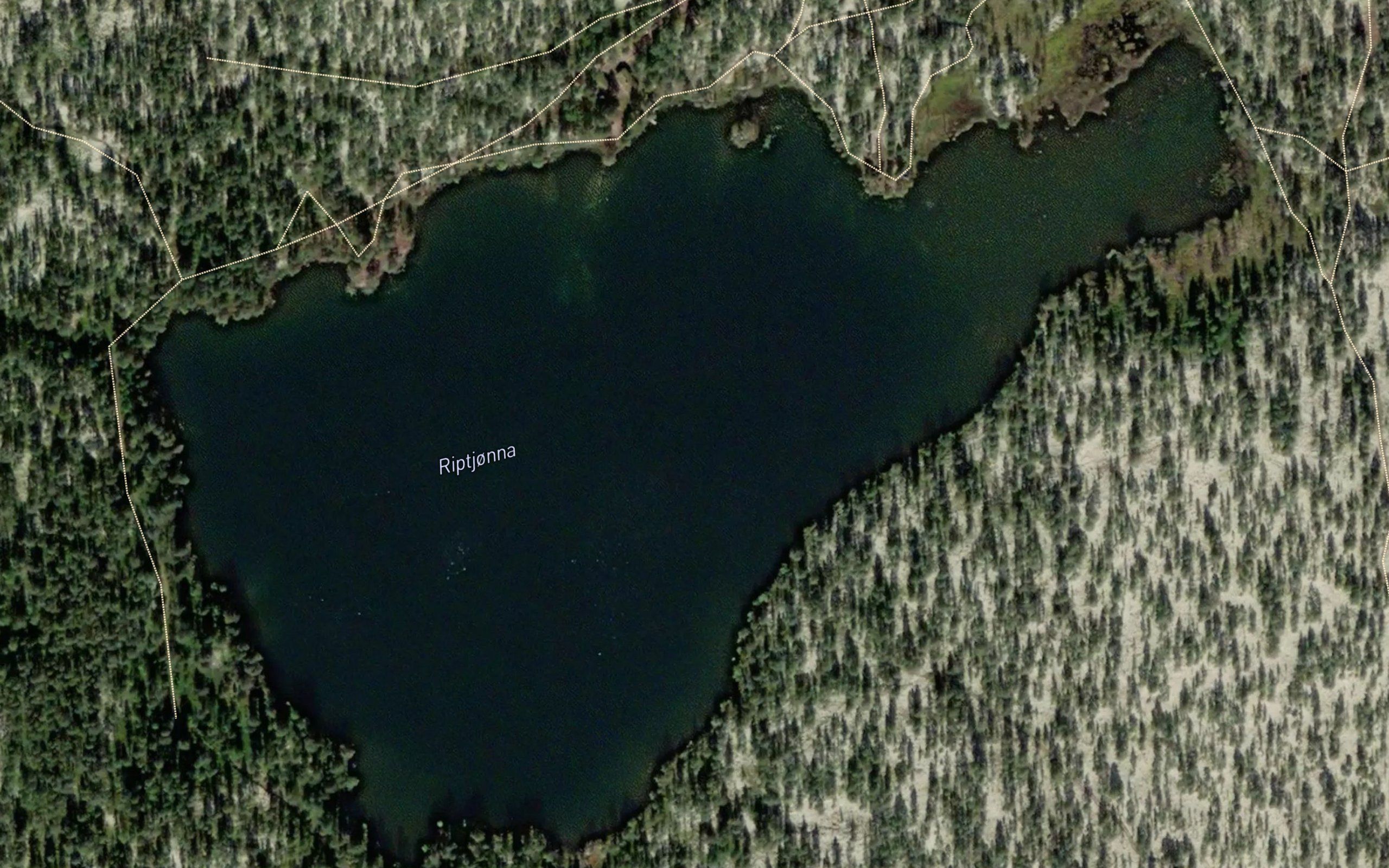Riptjonna