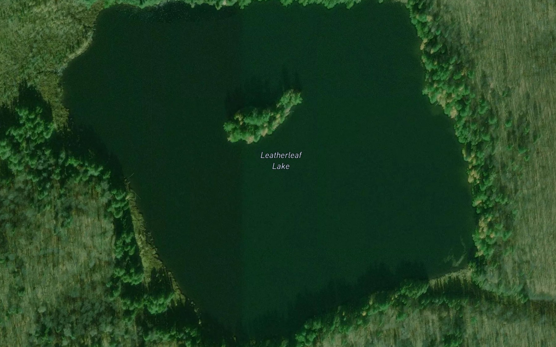 Satellite map of the Leatherleaf Lake