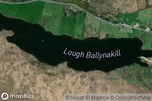 Ballynakill Lough
