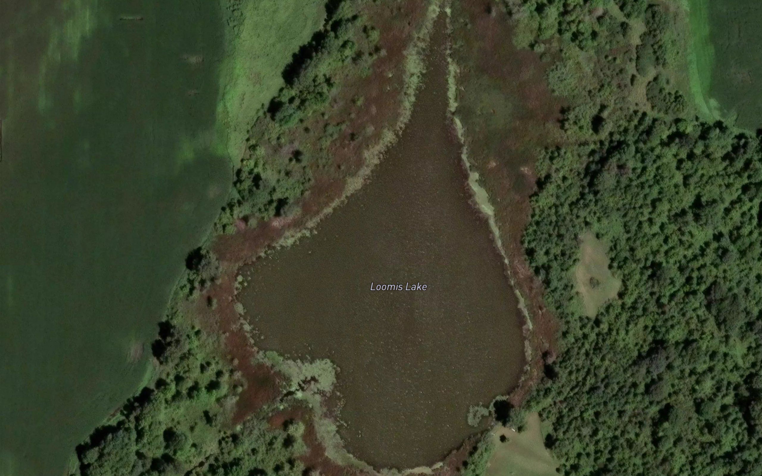 Loomis Lake