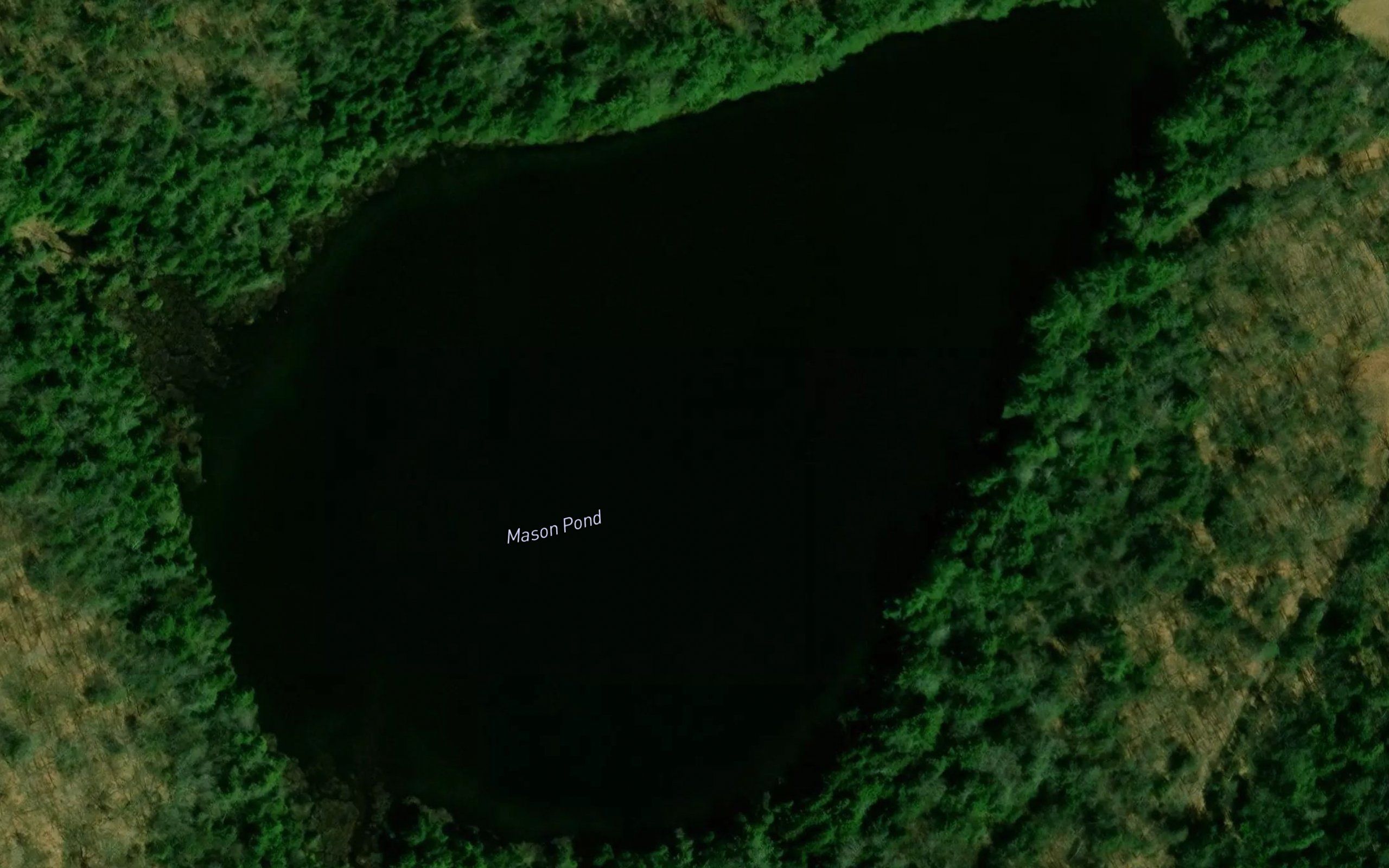 Mason Pond