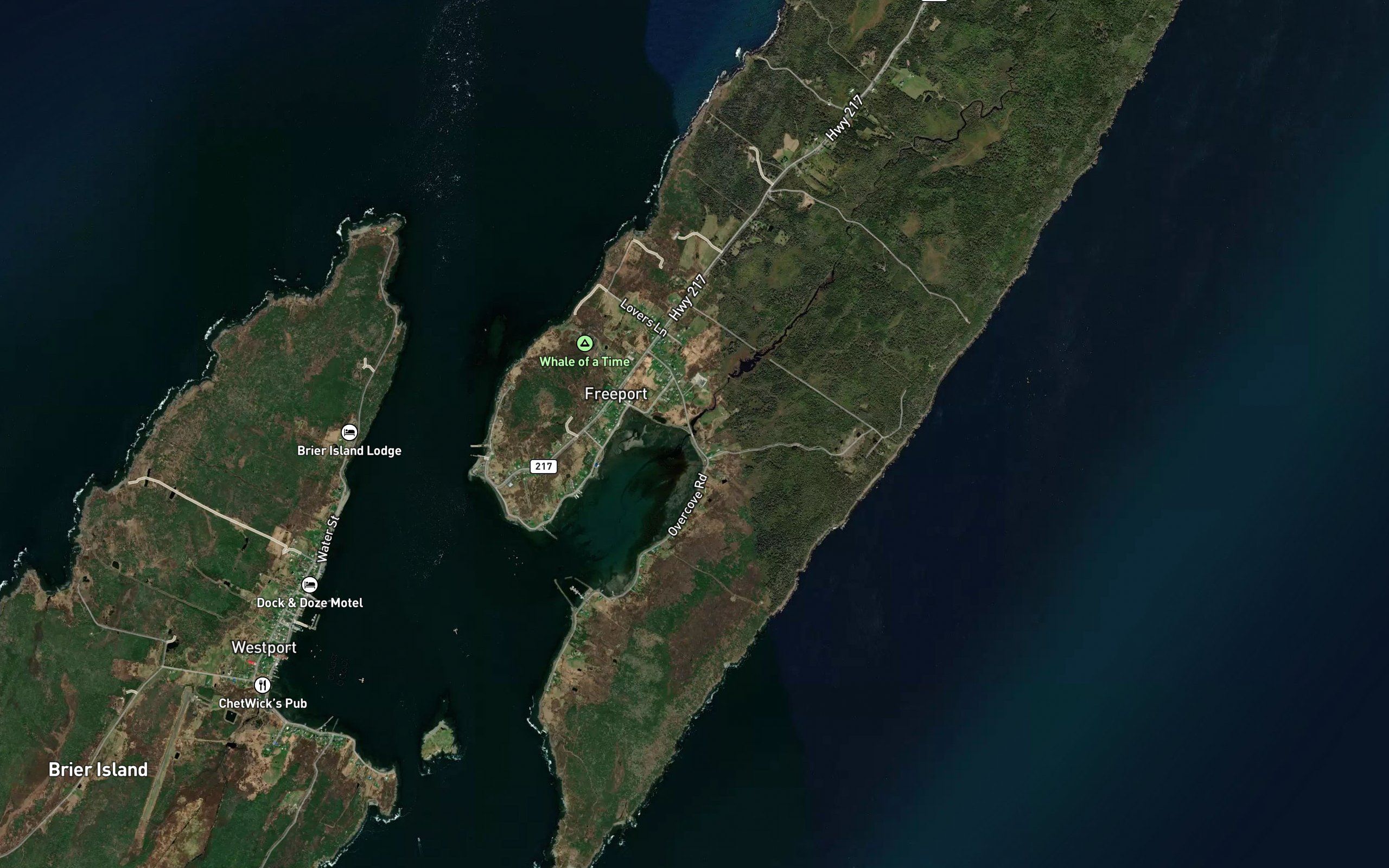 Long Island Brook