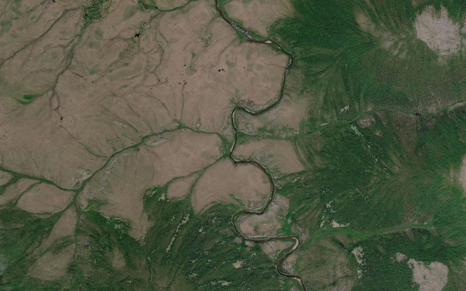 Satellite map of the Carbon Creek