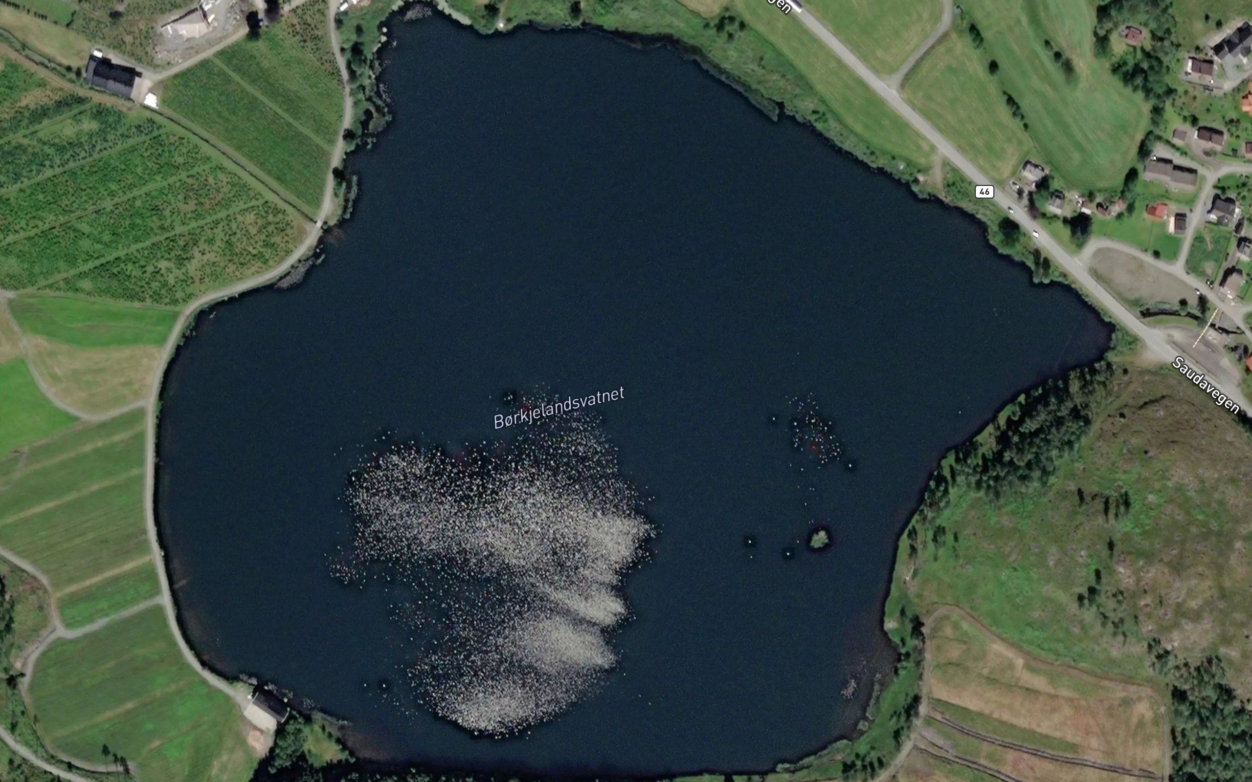 Borkjelandsvatnet