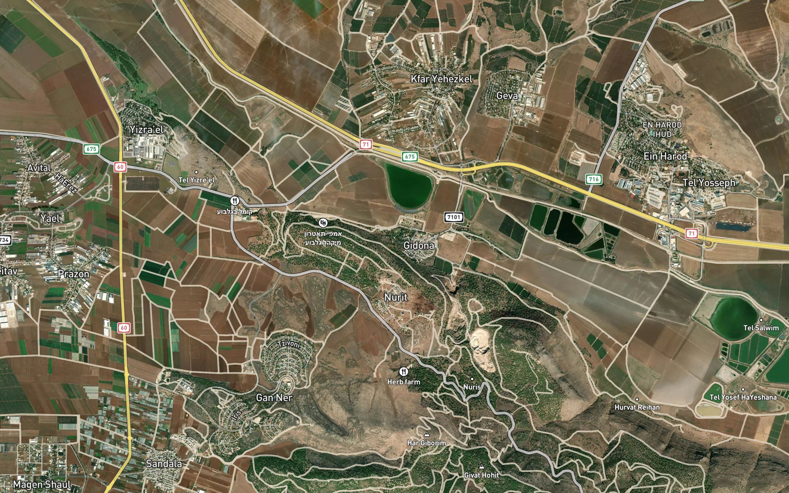 Ma`ayan Harod