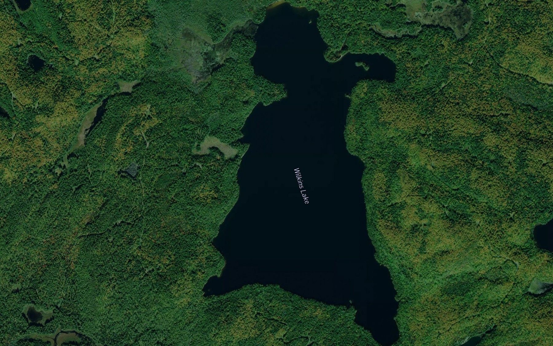 Satellite map of the Wilkins Lake