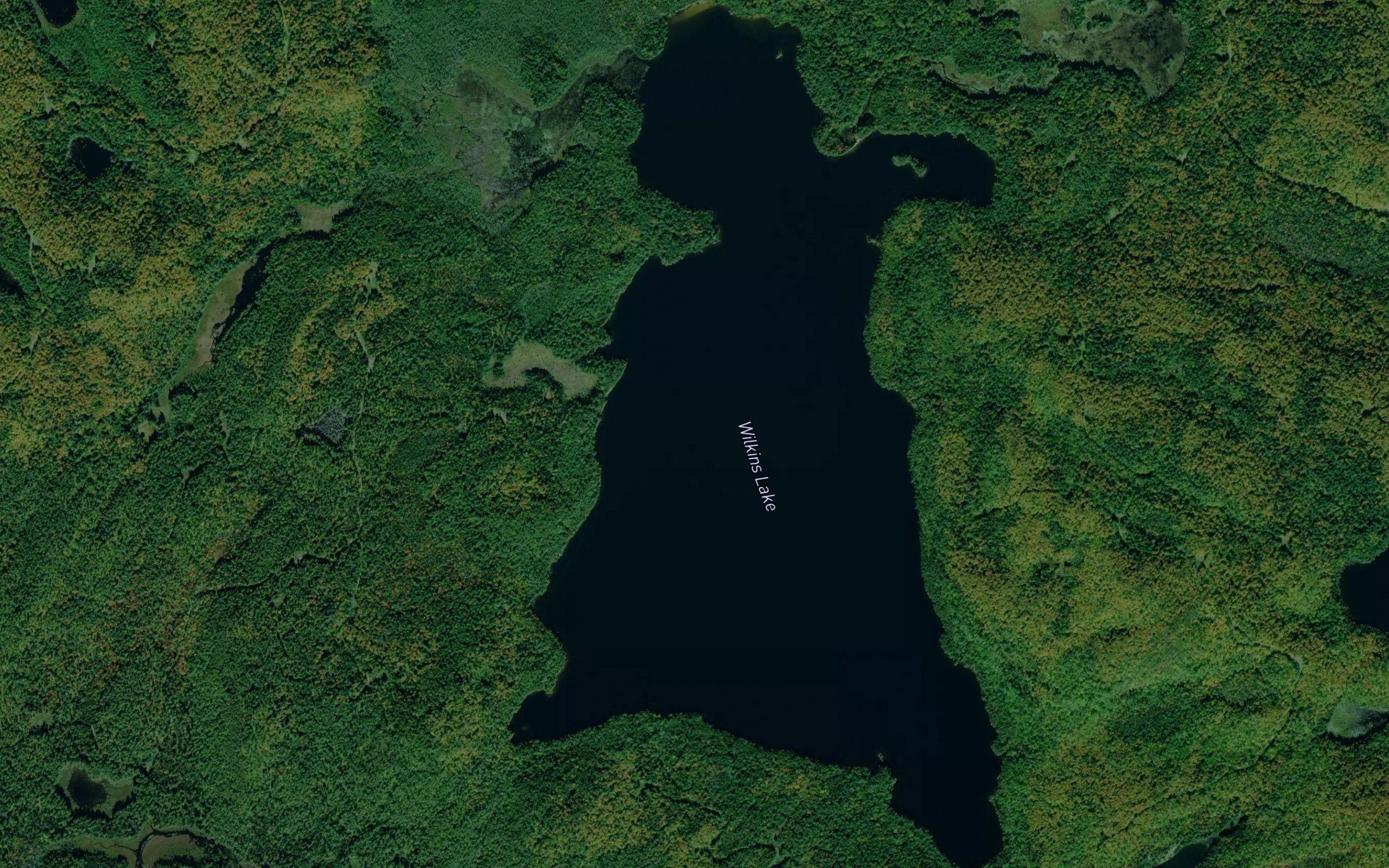 Wilkins Lake