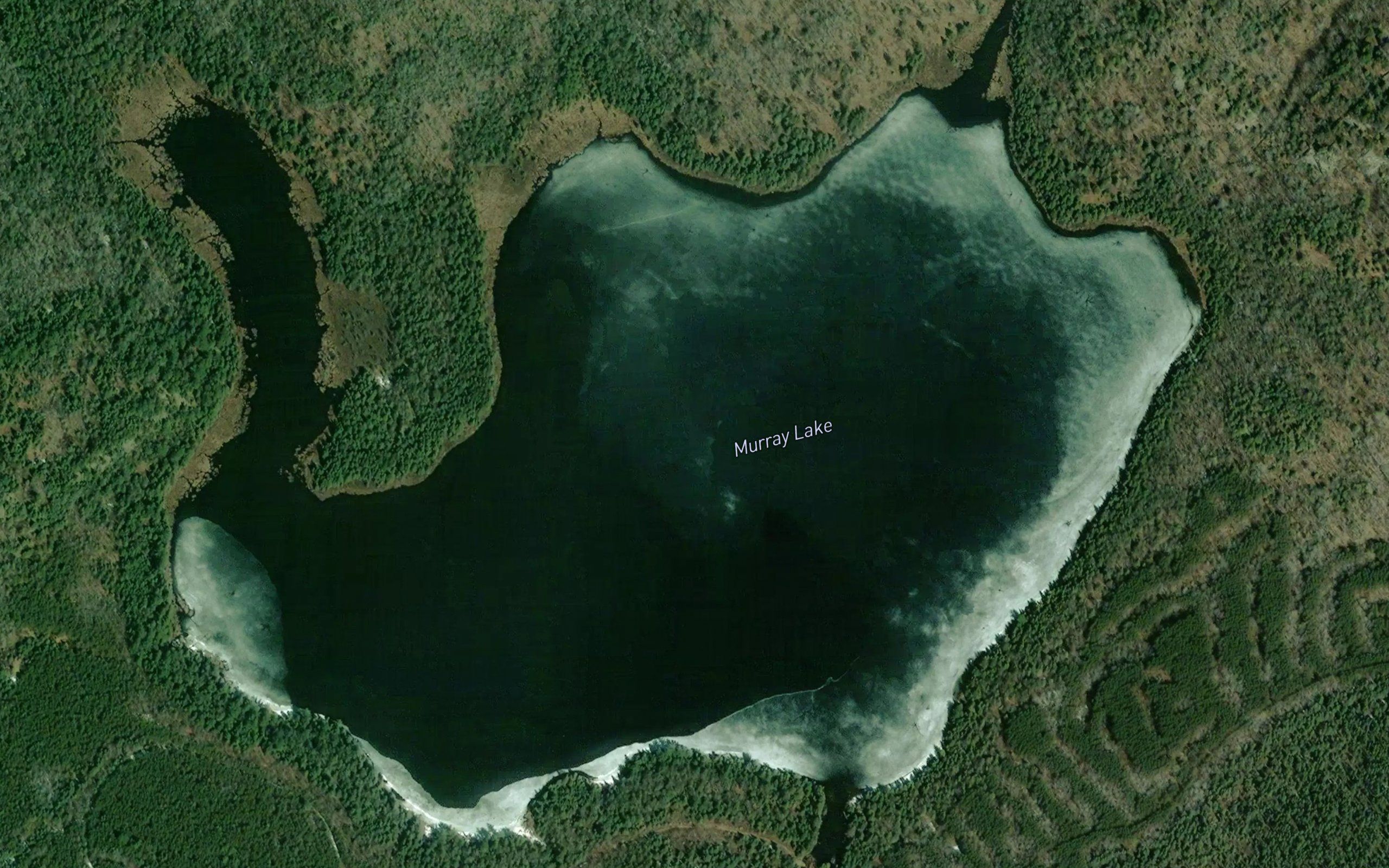 Murray Lake