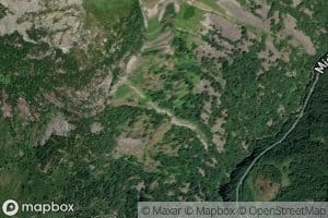 Bjonnskorgrovi