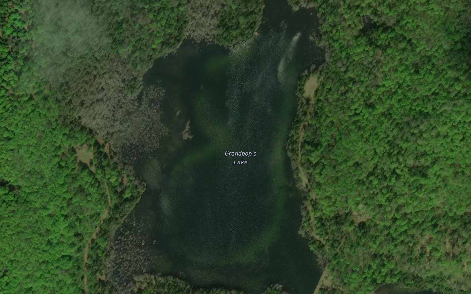 Satellite map of the Grandpop's Lake