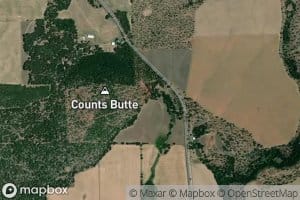 Counts Spring