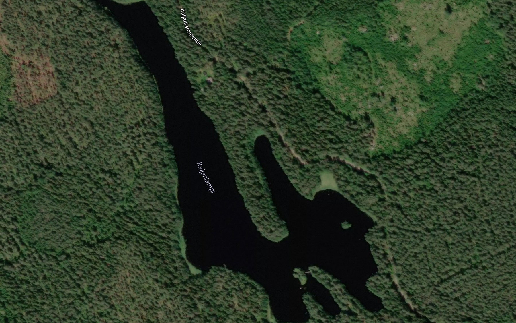 Satellite map of the Kaijalampi
