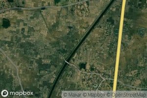 Distributary Number Nine