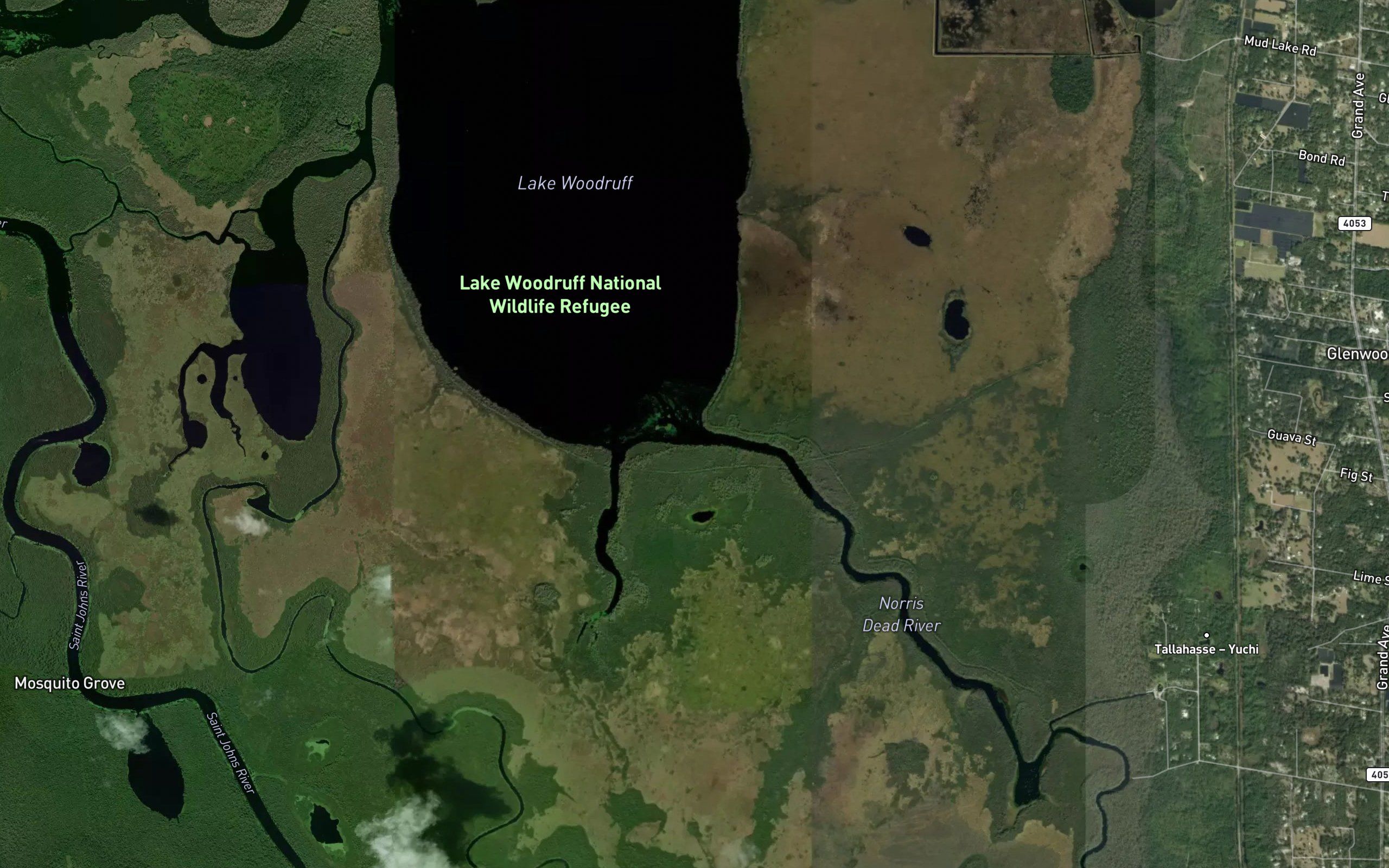 Norris Dead River