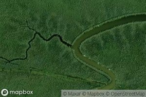 Bayou Reponds Pas