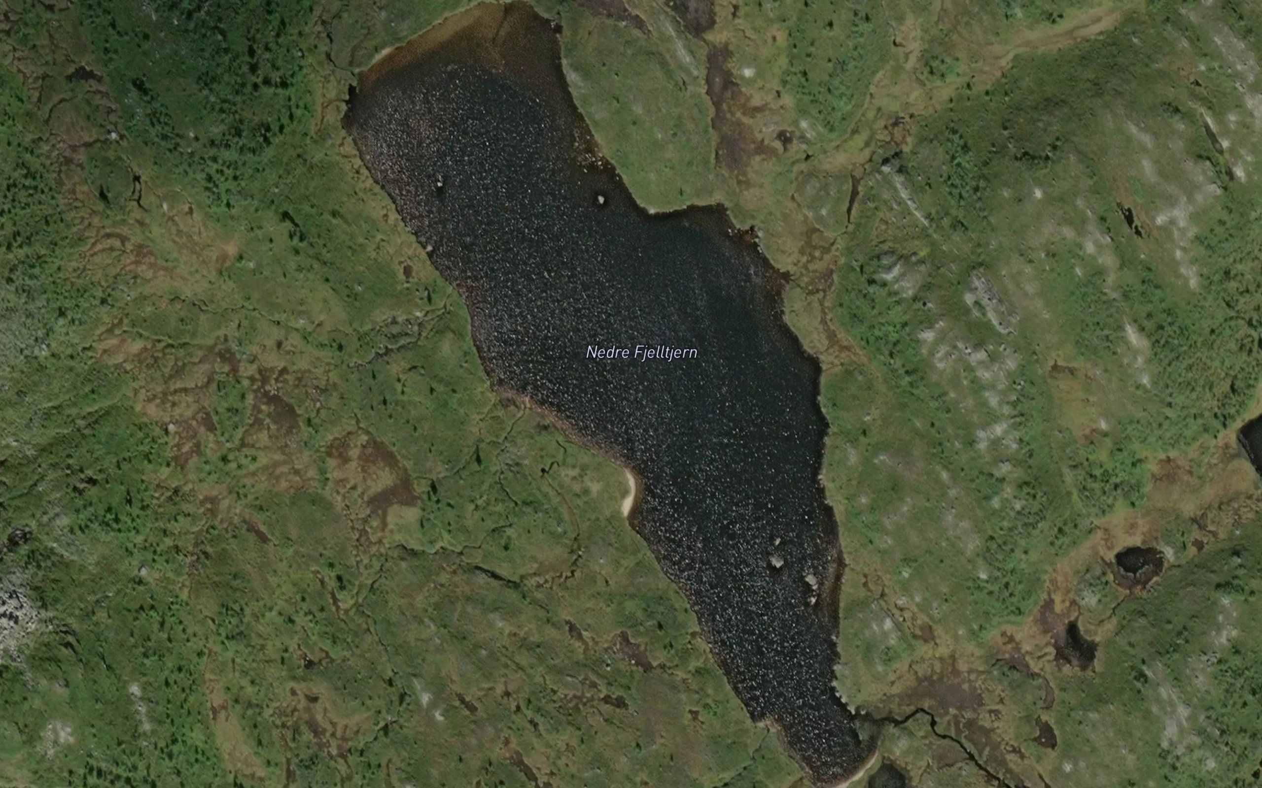 Nedre Fjelltjern