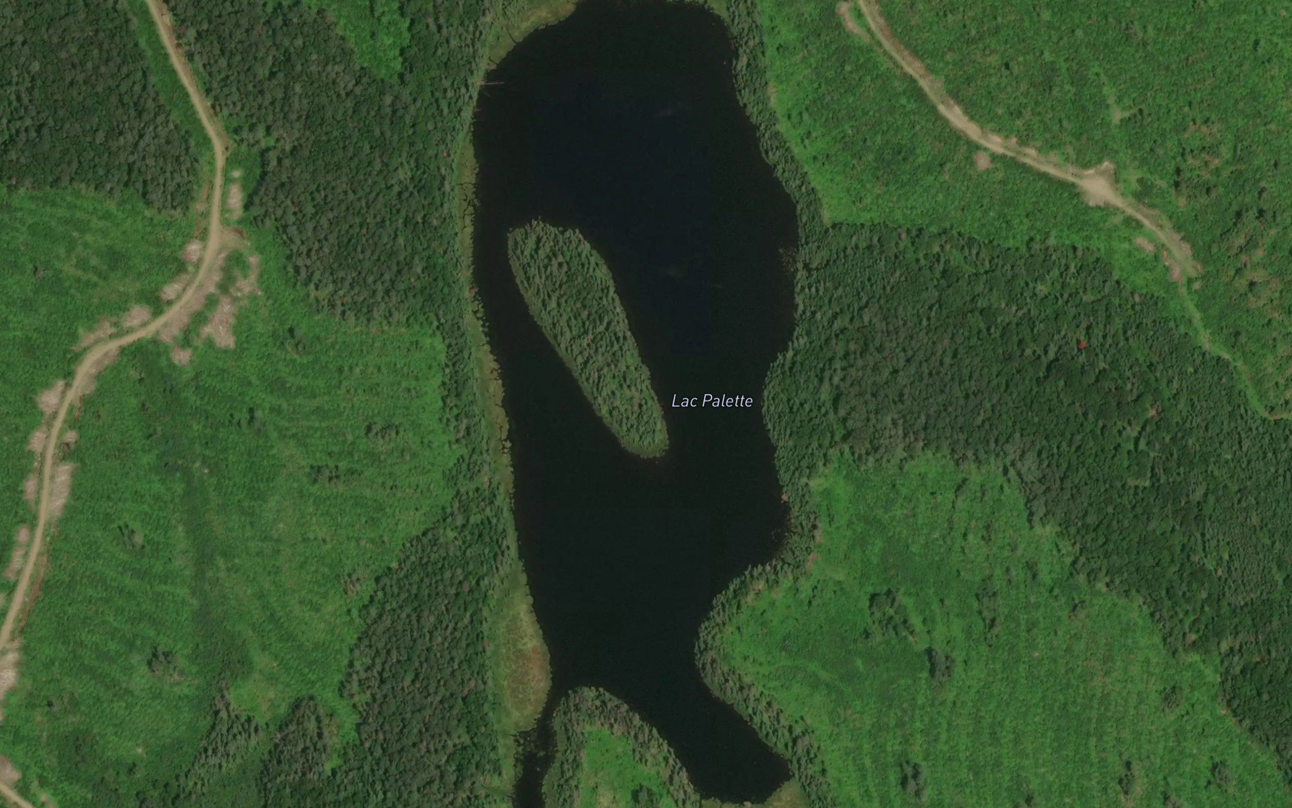Lac Palette
