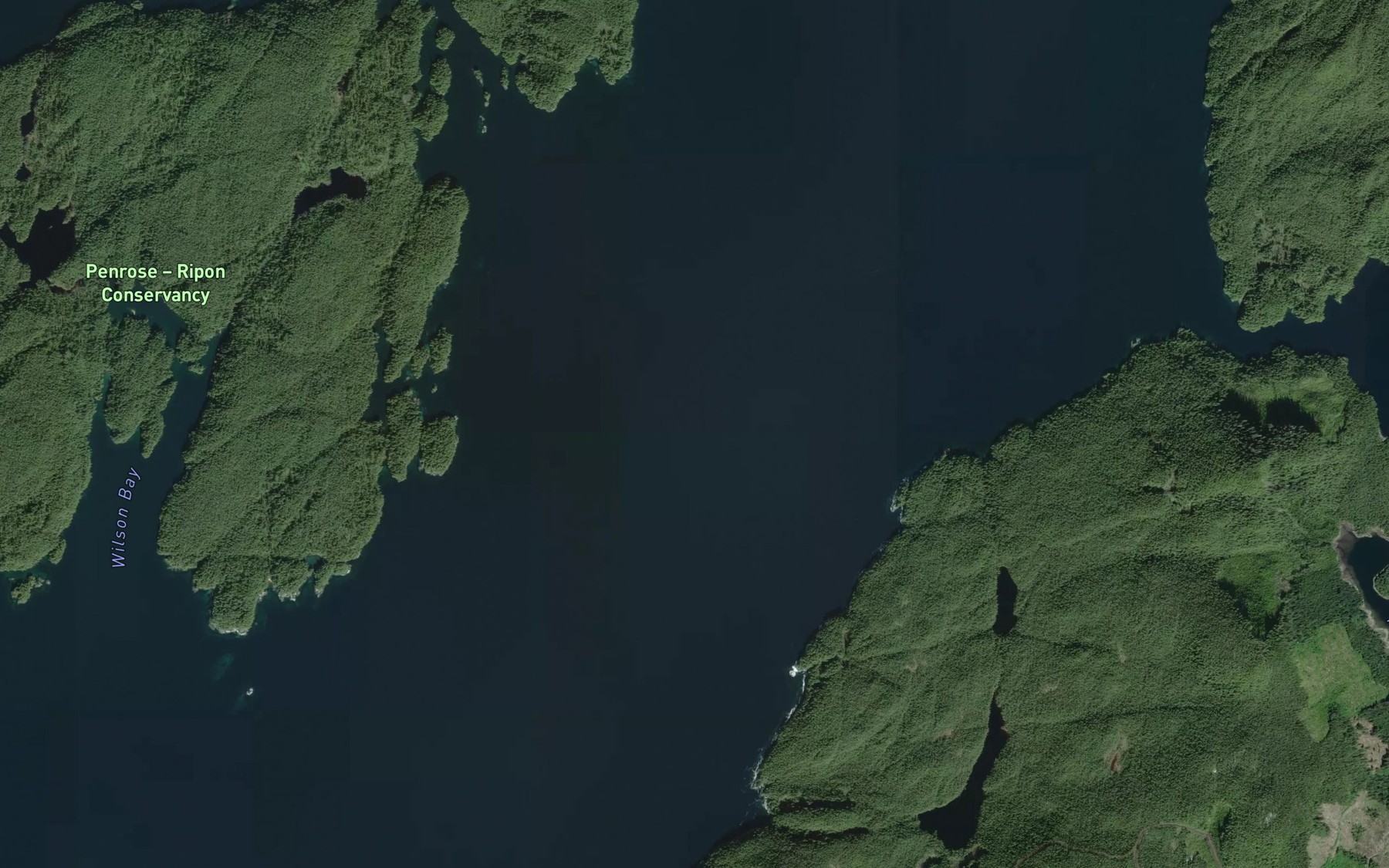 Satellite map of the Rivers Inlet