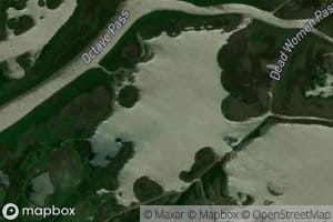 Goose Island Outside Pond