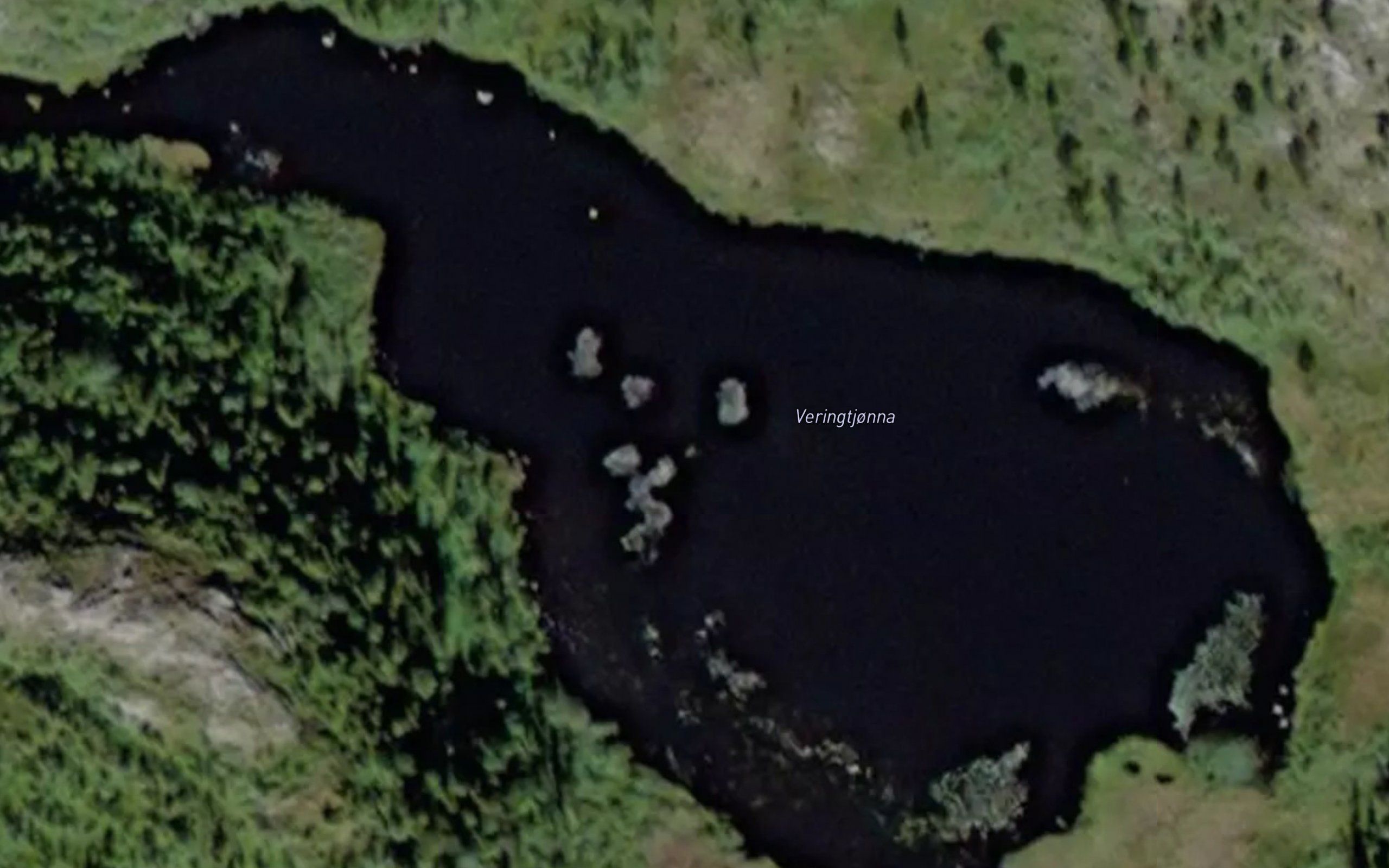 Veringtjorna